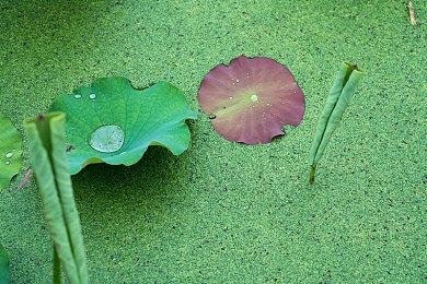 《控制》宇宙新作《FBC：Firebreak》Steam页面上线 明年发售